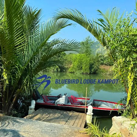 Bluebird Lodge Kampot Exteriér fotografie