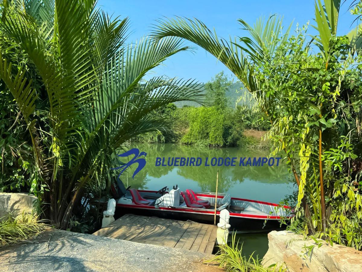 Bluebird Lodge Kampot Exteriér fotografie