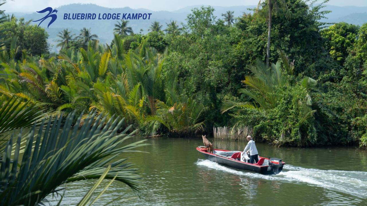 Bluebird Lodge Kampot Exteriér fotografie