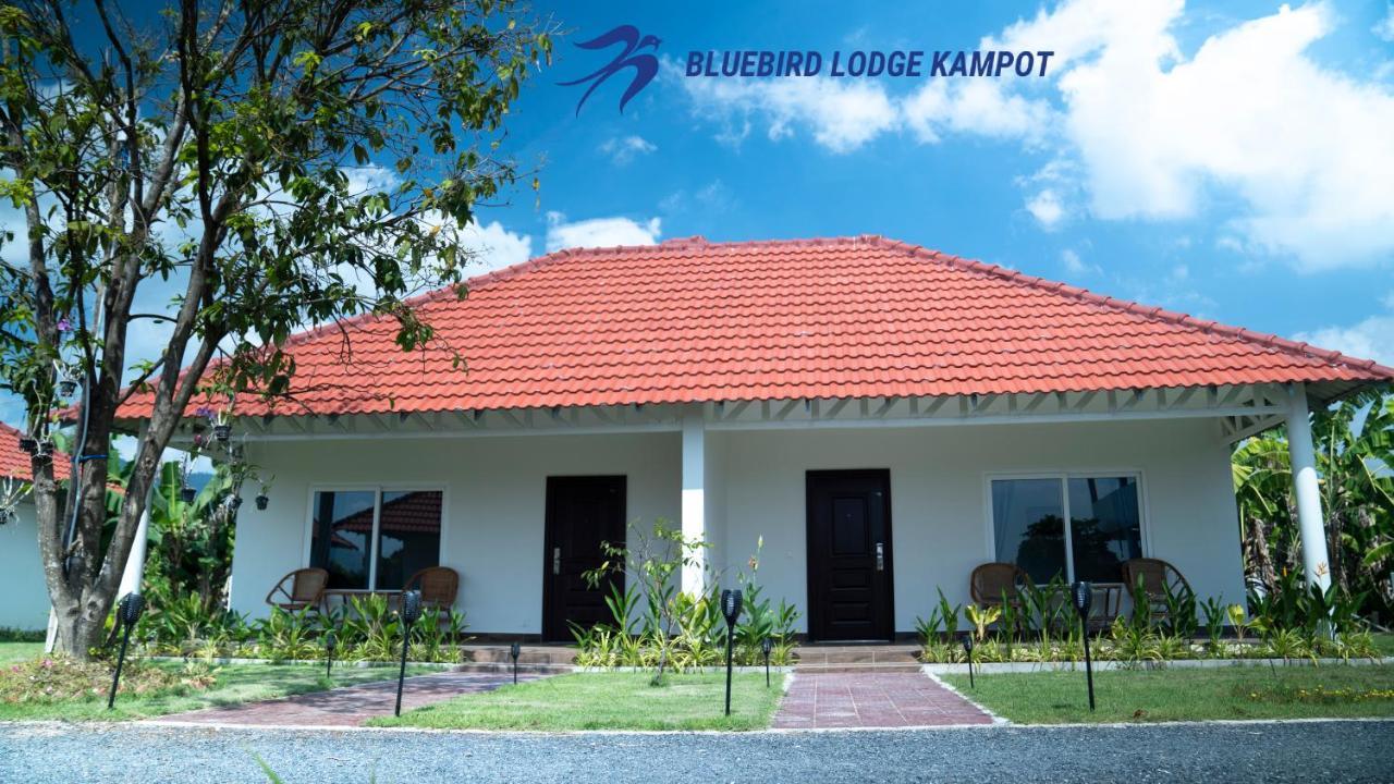 Bluebird Lodge Kampot Exteriér fotografie